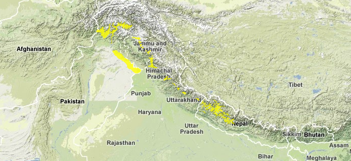 Western-himalayan-subalpine-conifer-forests.png