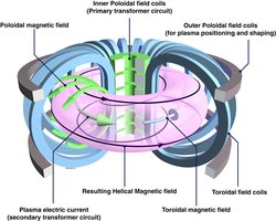 250px-Schematic of tokama.jpg