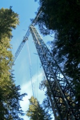 Crane2 ForestService.jpg