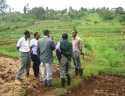 250px-Agriculture africa.JPG