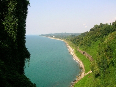 800px-batumi-botanical-garden.-black-sea.jpg