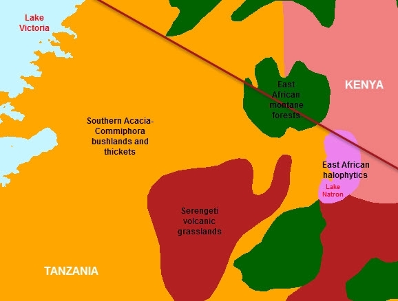 Serengeti-ecoregions.jpg