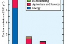 Mitigation from Agriculture and Forestry