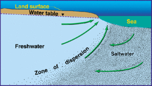 300px-Water flow patterns coastal aquifer.gif