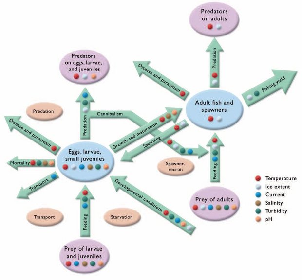 620px-Figure8.19 biotic processes affect fish pops.JPG