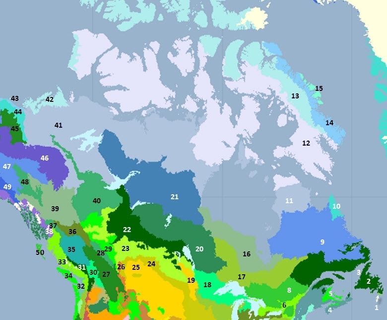 Canada-ecoregions.jpg