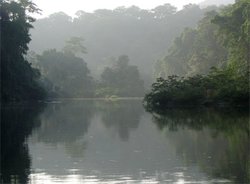 250px-Platano River.jpg