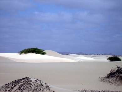 800px-deserto-viana--boa-vista.jpg