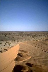 250px-Simpson Desert2.jpg