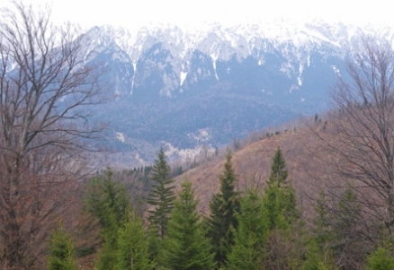 Content Cover Image