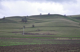 270px-CountrysidesoffagarasIMGP2991.jpg