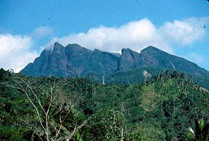 300px-Marojezy, Madagascar.jpg