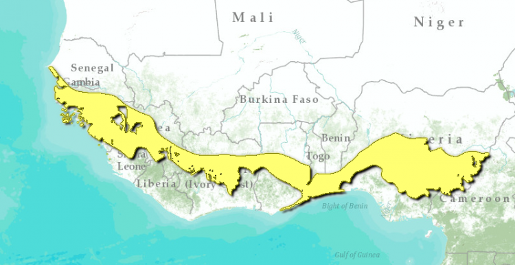 Guinean-forest-savanna-mosaicmap.png