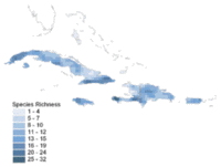 200px-Amphibian diversity in caribbean.gif