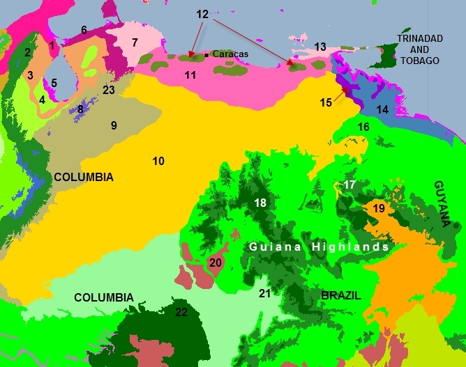 Venezuela-ecoregions.png.jpeg