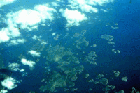 200px-Islands along Finnish coast.gif