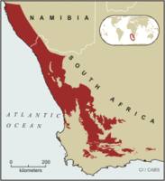 200px-Map of succulent karoo.gif