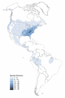 200px-Americas diversity of salamanders.gif