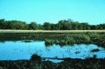 East Caprivi, Namibia.jpg