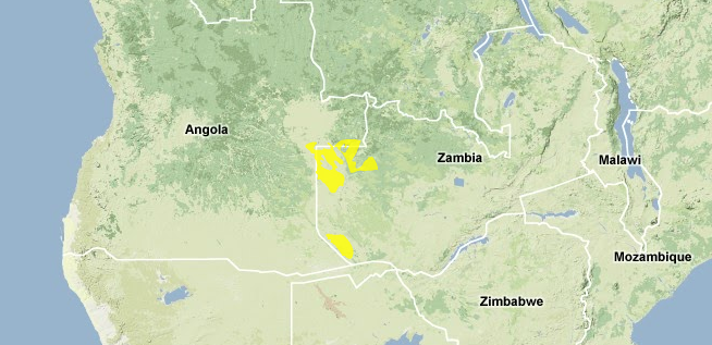 Western-zambezian-grasslands.png