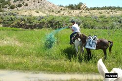 250px-Hand herbicide.jpg