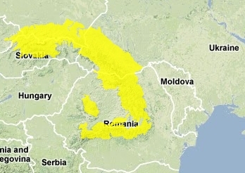 Carpathian Montane Forests.PNG.jpeg