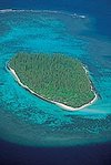 Araucaria pines (Araucaria columnaris) on Grande Terre's south coast. (Source: © Jean-Paul Ferrero/<a href=%27http_/www.auscape.com.au/%27.html _fcksavedurl='http://www.auscape.com.au/' class='external text' title='http://www.auscape.com.au/' rel='nofollow'>Auscape</a>)