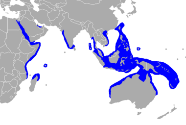 380px-Dugong range.png