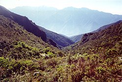 249px-Near Merida, Venezuela.jpg