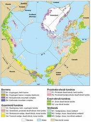 250px-Fig 19 vegetation circumpolar arctic.JPG