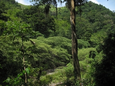 800px-montanasdelasierradeagalta-honduras.jpg