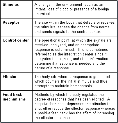 Homeostasis-fig-1.gif.jpeg