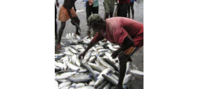FishermenKenya JoshCinner CenterofExcellenceforCoralReefStudies.jpg