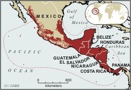 Mesoamerica.gif.jpeg