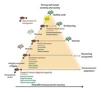 200px-EHP 7 reef management.jpg