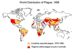 250px-World Distrib Plague CDC.gif