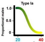 150px-Turtletemp1a.gif