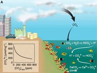 200px-Oceanchemfig.jpg