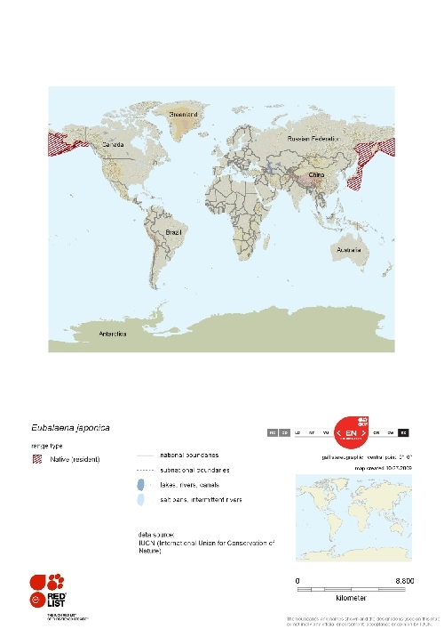 Distribution of North Pacific Right Whale.png.jpeg