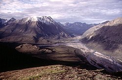 249px-Ogilvie-MacKenzie Alpine Tundra 1.jpg