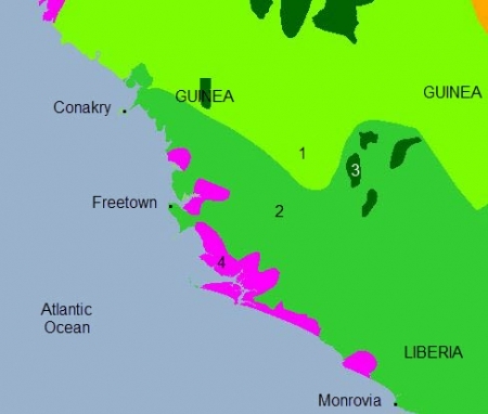 Sierra-leone-ecoregions.jpg