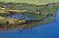 Nwmadagascarmangroves.jpg