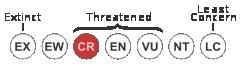 IUCN Conservation Status - Critically Endangered.png.jpeg