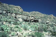 225px-Chihuahuan Desert.jpg