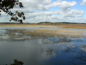 300px-Estuary.jpg