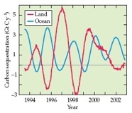 Rising CO2 Levels 1.jpg