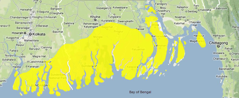 Sundarbans-mangroves2.png