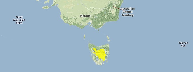 Tasmanian-central-highland-forests.png