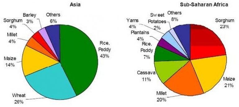 FoodCropsAsiaSub-SaharanAfrica FAO.jpg