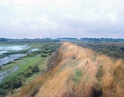 250px-GEO4 ch 4 breached seawall.jpg